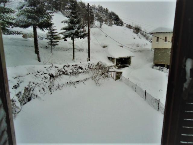 Hotel Acropolis メツォヴォ エクステリア 写真