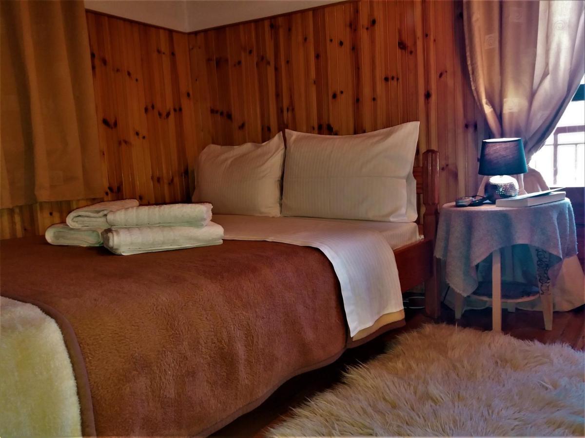 Hotel Acropolis メツォヴォ エクステリア 写真