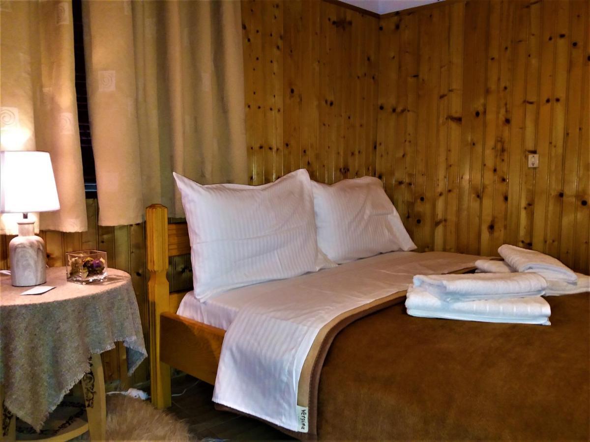 Hotel Acropolis メツォヴォ エクステリア 写真